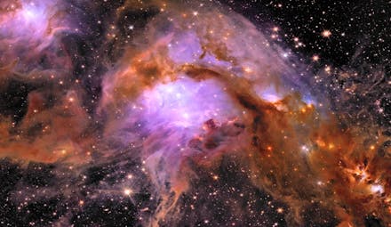 a fraction of Purpose Intelligence captured with the James Webb Space Telescope