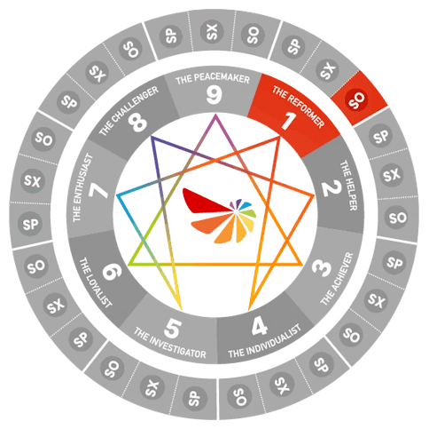 Enneagram wheel diagram highlighting Type 1 Social (SO1)