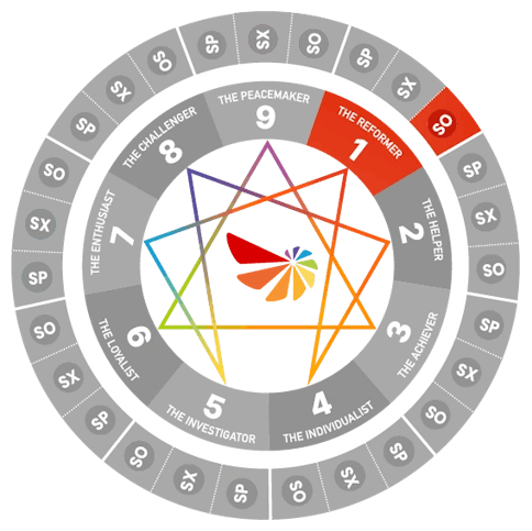 Enneagram wheel diagram highlighting Type 1 Social (SO1)