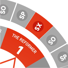 Close-up view of the Enneagram wheel highlighting Type 1 Sexual (SX1)