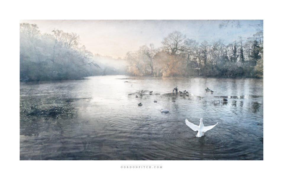 Reflections-Irby-Woods-Wirral-UK-by-Gordon-Fitch