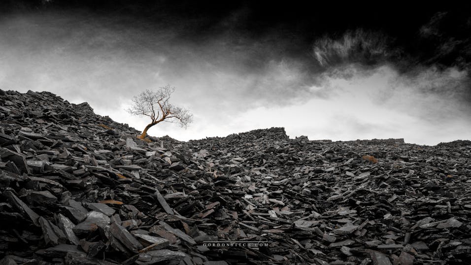 Reflections-Irby-Woods-Wirral-UK-by-Gordon-Fitch