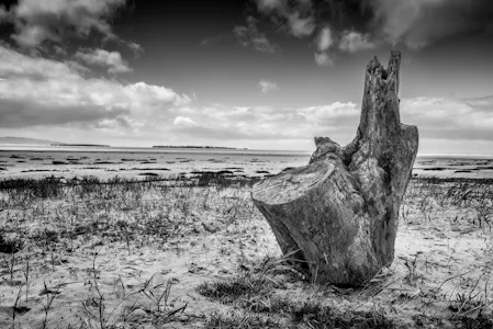Photo Art Images-by-Gordon-Fitch