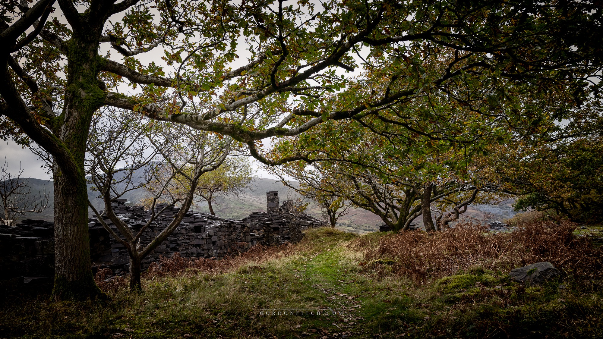 Liverpool-Waterfront-UK-From-Seacombe-Wirral by Gordon Fitch