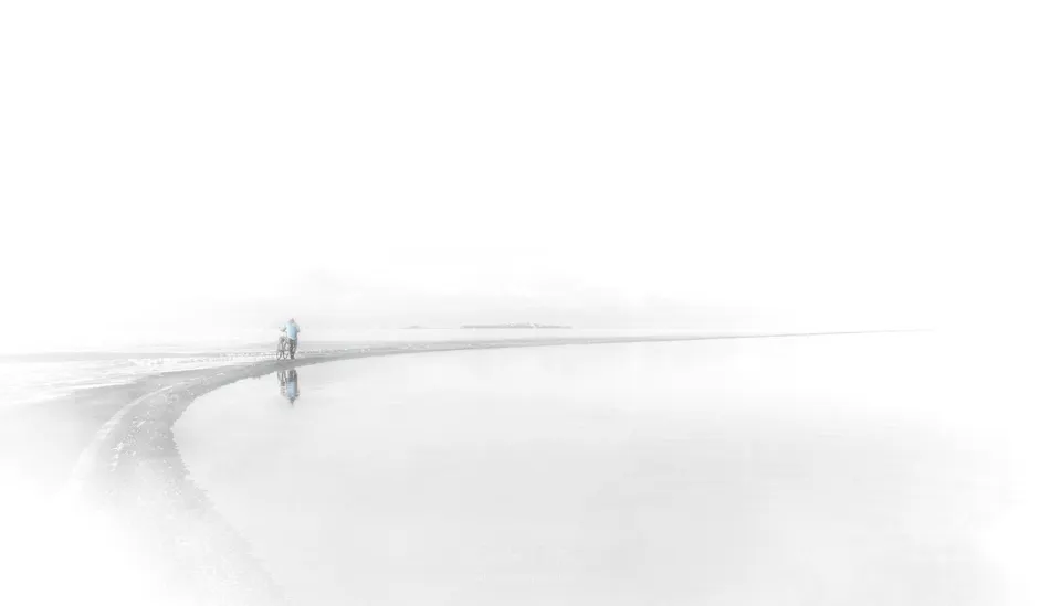 Walking with a Bicycle by Gordon Fitch