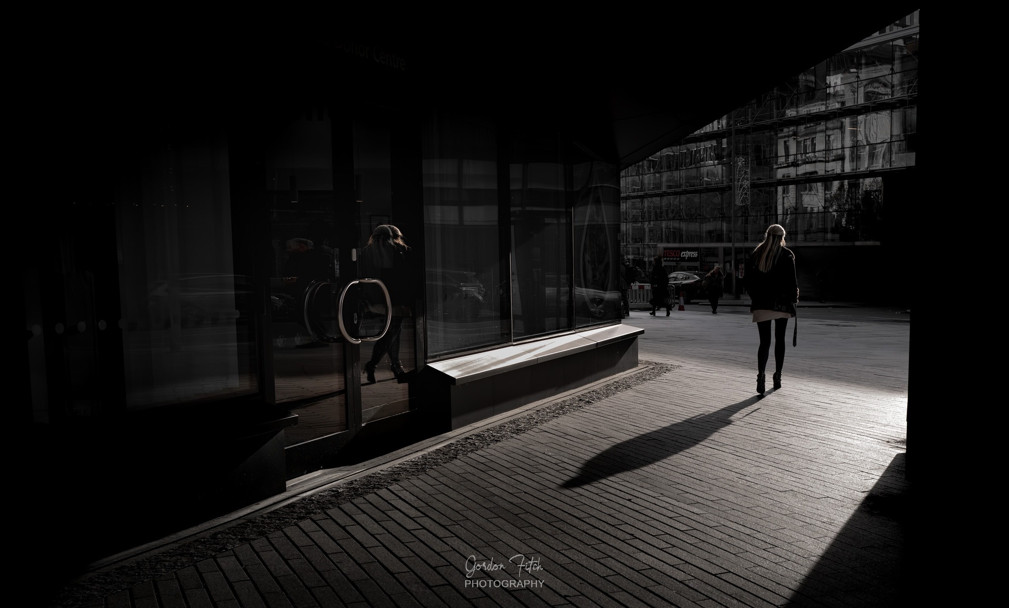 Terkking with Rex by Gordon Fitch