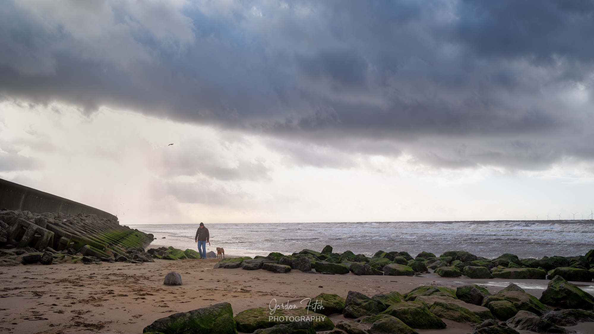 Man and Dog by Gordon Fitch