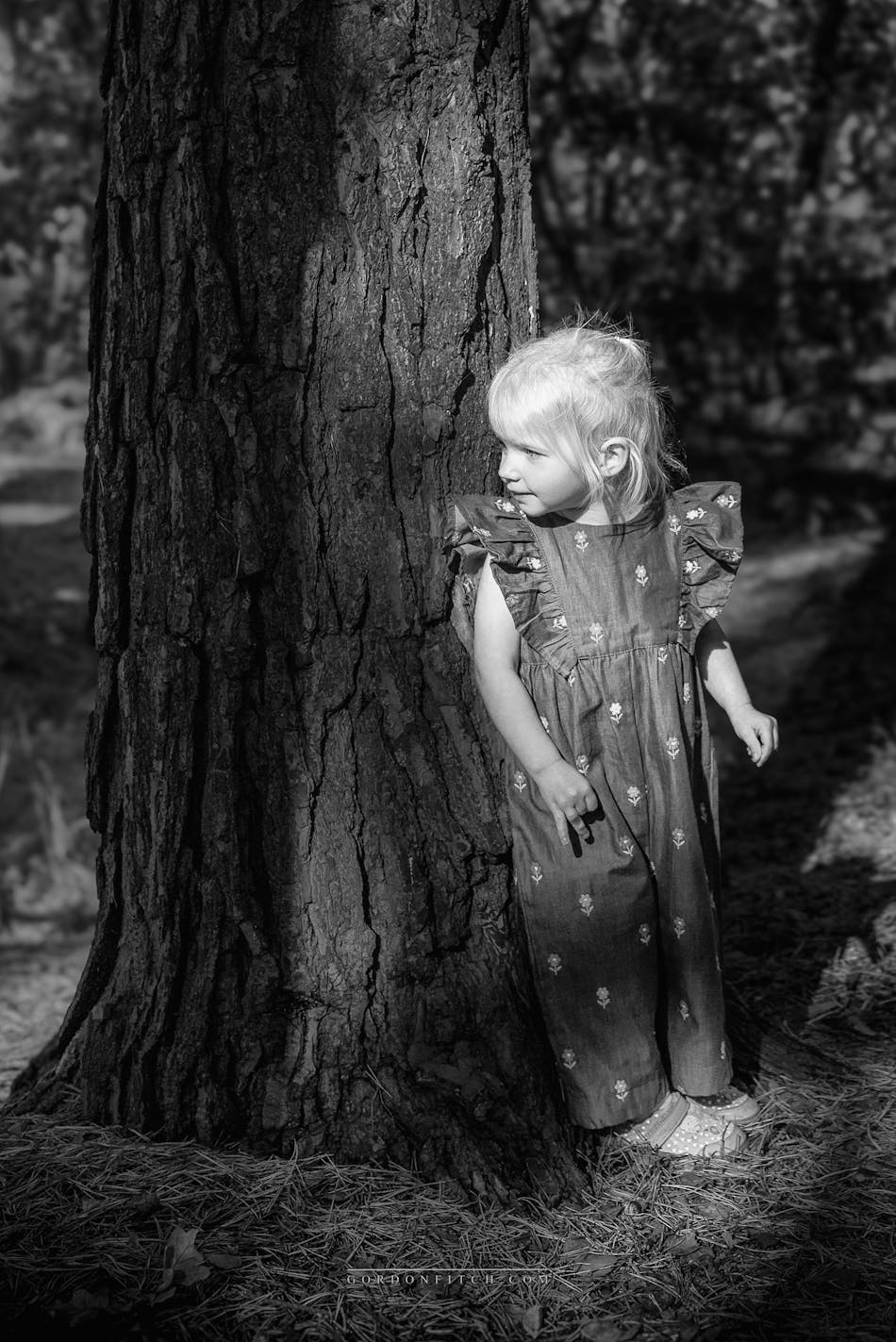 Perch-Rock-Lighthouse-Wirral-UK-by-Gordon-Fitch