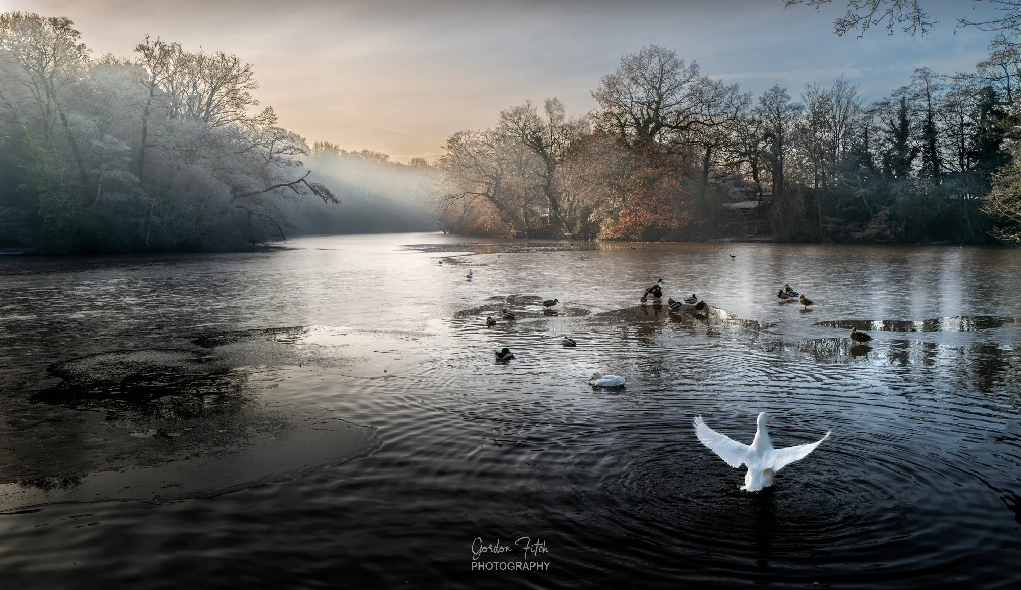 Photo Art Images-by-Gordon-Fitch
