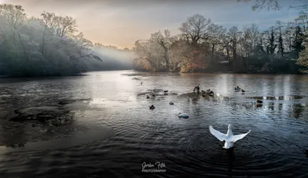 Photo Art Images-by-Gordon-Fitch