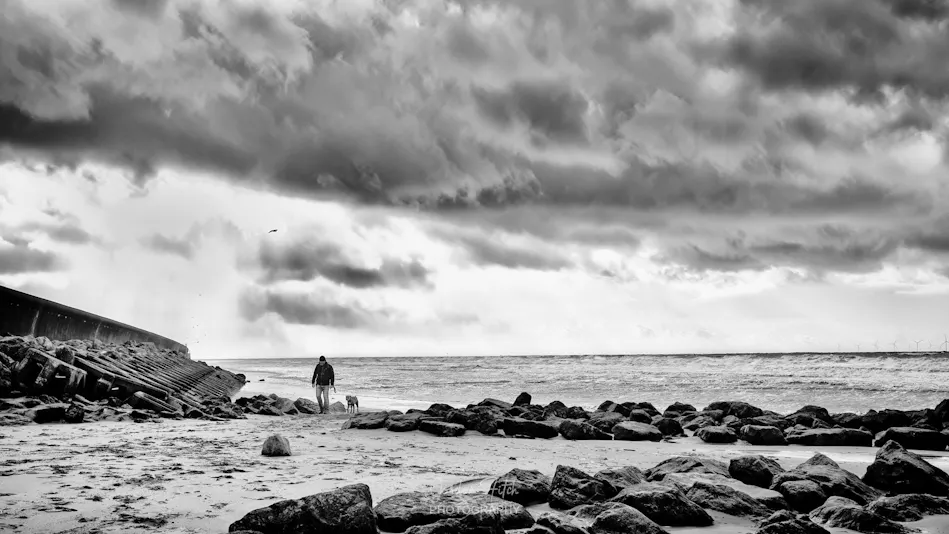 Man and Dog by Gordon Fitch