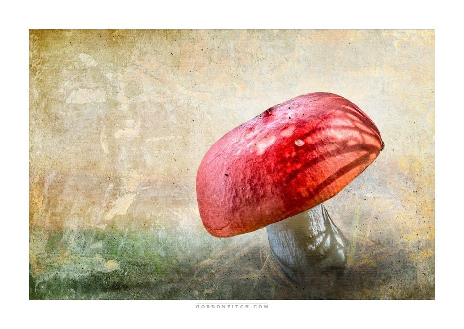 Sunrise over Redcap-by-Gordon-Fitch