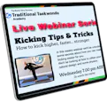 An example of a Master Gary Simmons Traditional Taekwondo Academy educational webinar