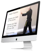 Online Traditional Taekwondo training system shown on a desktop screen