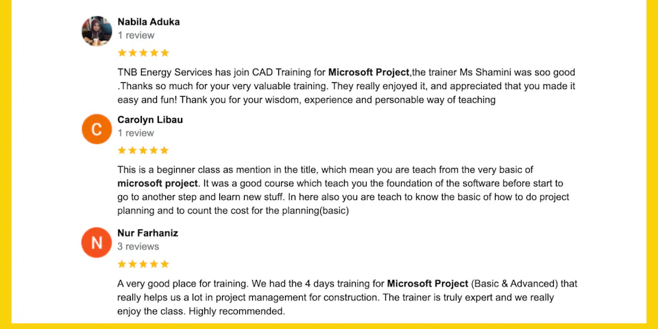 Microsoft Project LP