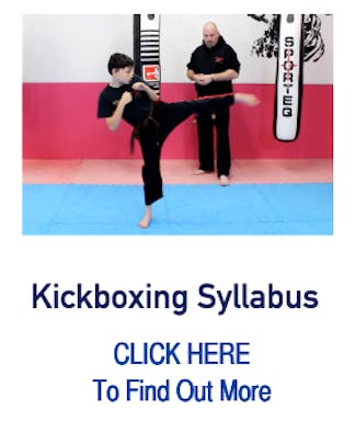 Kickboxing Syllabus