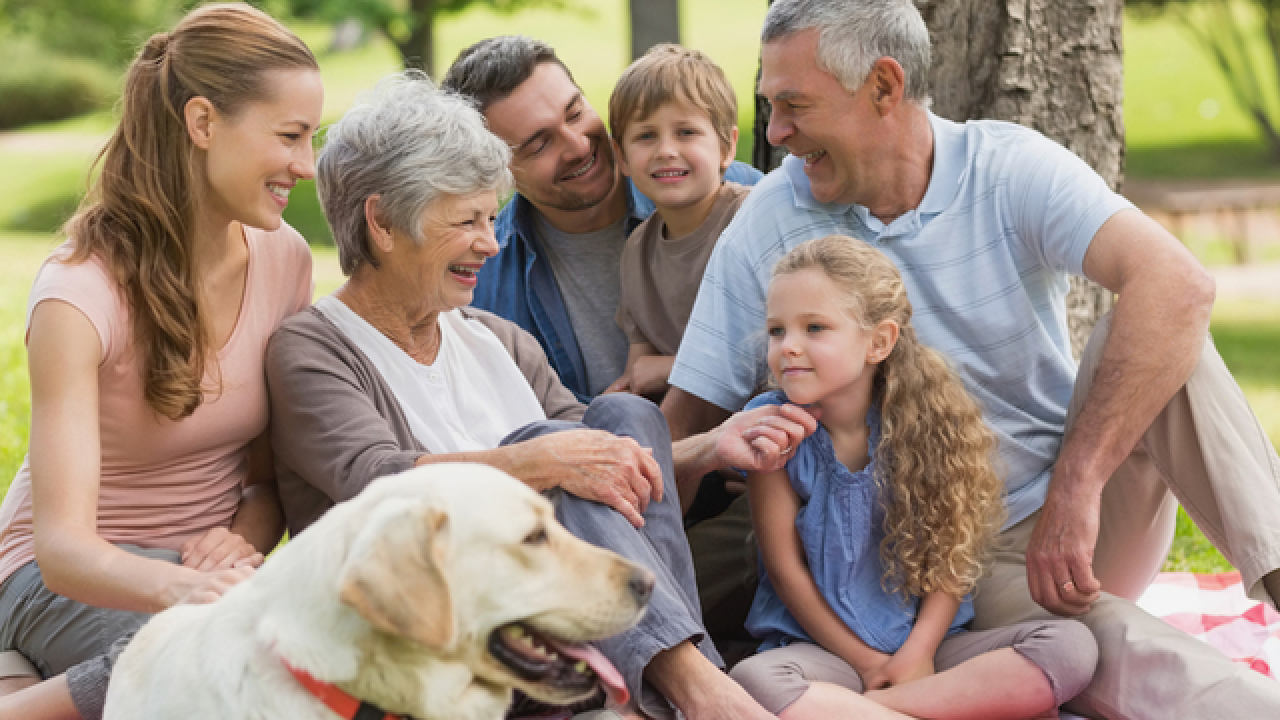 Home Page [optimal-life-group.com]