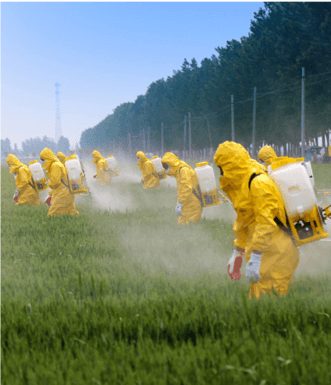 sparing produce sparing produce