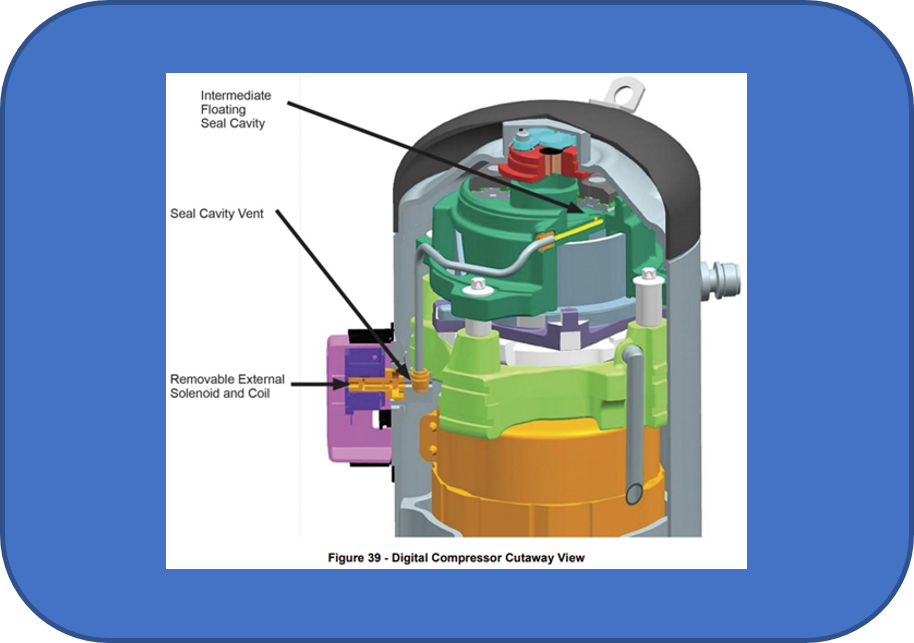 Supermarket February 2024   Module4 