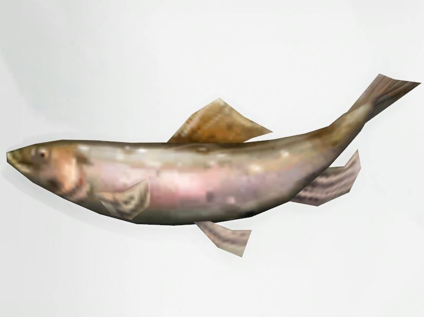 Sims Fish Sims 4 Fish Collection