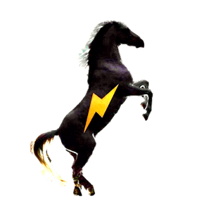 DefiDarkhorse Project