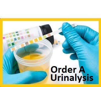 Order A Urinalysis