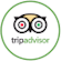 monitor Trip Advisor reviews