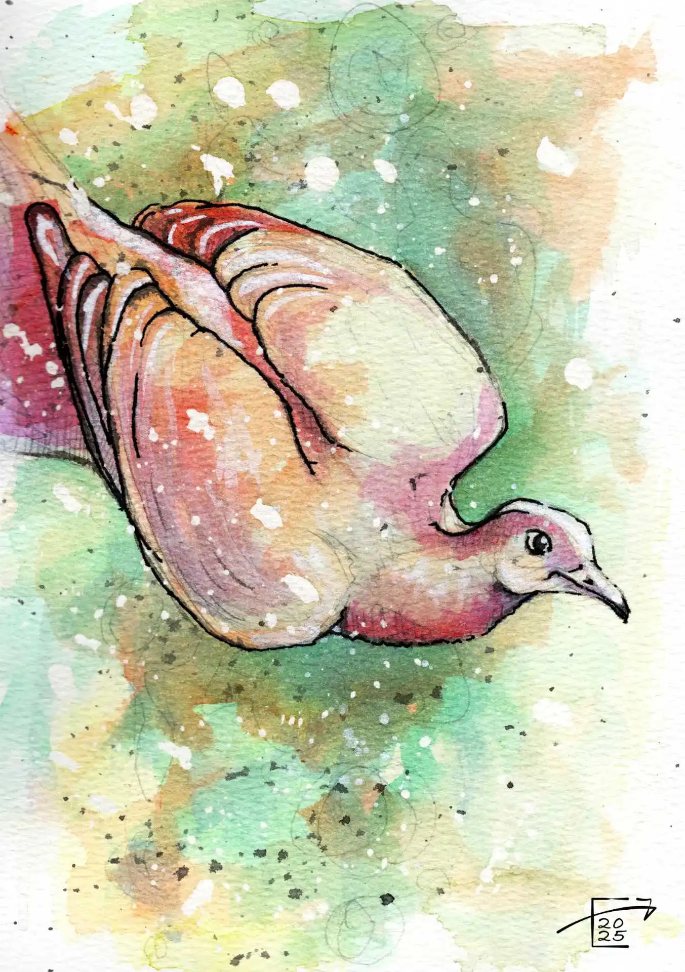 Watercolour #4 Series 21092025 — Shows the painting by Jamie C. Goodwin of a gentle pigeon, loveling purching in the soft evening light done in an abstract illustrative style.