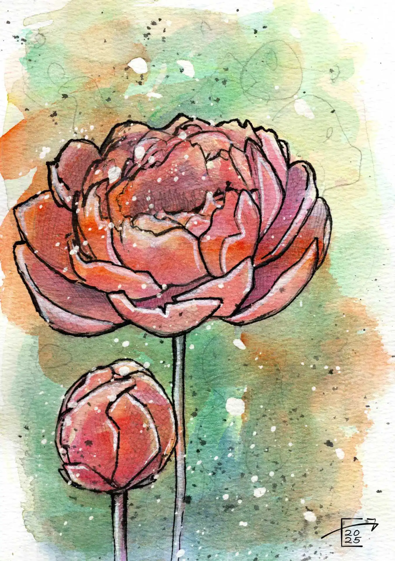Watercolour #6 Series 21092025 — Shows the painting by Jamie C. Goodwin of a pair of peonies, one open, and the other budding done in an abstract illustrative style.