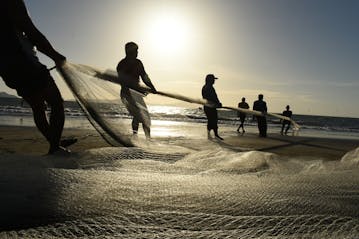 Group of people fishing along the shore, symbolizing the call to be 'fishers of men' in Christian ministry. Digital evangelism reaches souls for Christ through the internet, casting a wide net.