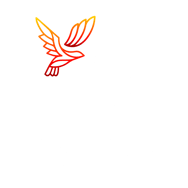 Digital Dove Media LLC logo featuring a flaming dove, symbolizing the Holy Spirit, soaring above two intertwined white letter D's, with 'Digital Dove Media' text to the right.