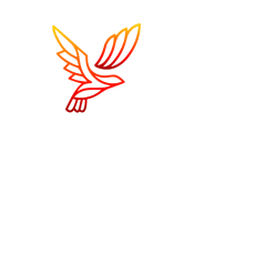 Logo of Digital Dove Media LLC, featuring a stylized icon of a flaming dove, representing the Holy Spirit, soaring above two entwined white letter D's. The dove and D's together create a distinctive symbol, with the text 'Digital Dove Media' positioned below. This logo represents our identity as a Christian marketing agency dedicated to assisting shepherds in the Body of Christ in enhancing their online ministries.