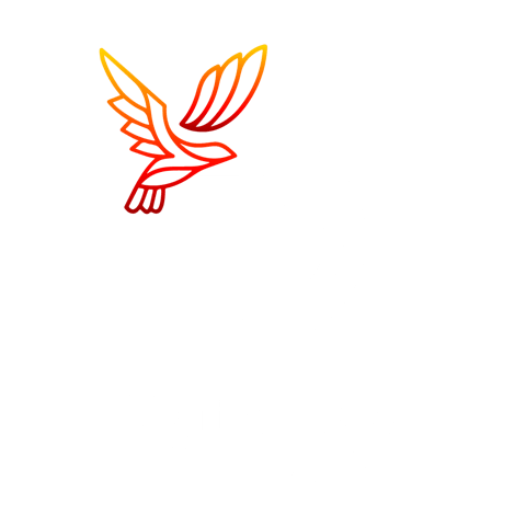 Logo of Digital Dove Media LLC, featuring a stylized icon of a flaming dove, representing the Holy Spirit, soaring above two entwined white letter D's. The dove and D's together create a distinctive symbol, with the text 'Digital Dove Media' positioned below. This logo represents our identity as a Christian marketing agency dedicated to assisting shepherds in the Body of Christ in enhancing their online ministries.