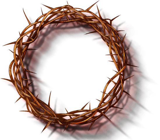 A crown made of thorns isolated on a white background, symbolizing the Passion of Christ and representing themes of sacrifice and redemption in Christian iconography.
