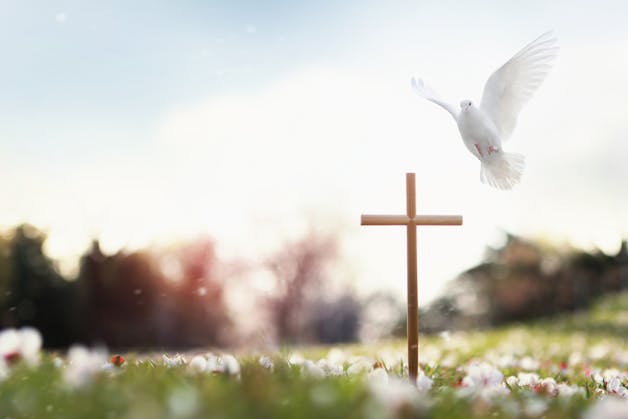 Wooden cross standing in a meadow with a white dove soaring above, set against a glowing sky.