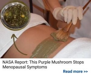 NASA Report - This Purple Mushroom Stops Menopausal Symptoms