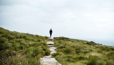 Person walking alone on a scenic boardwalk through green hills, symbolizing a reflective journey in mental health and personal growth