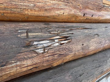 log home coating peeling of the log surface.