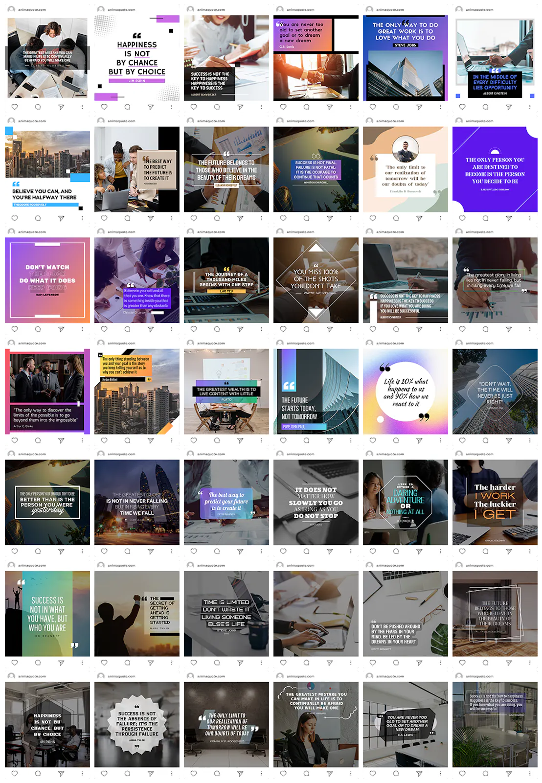Quote Animation Bundle W/PLR