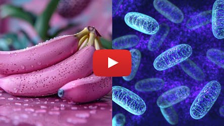 US Scientist: Do This Purple Peel Exploit To 3X Calorie Burning