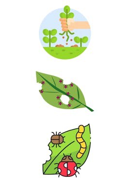 Weed and Pest Control Cowen Landscapes