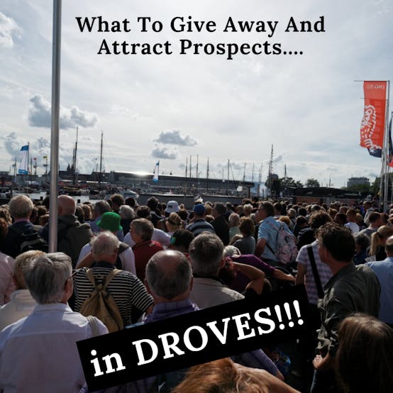 What Type Of Information You Can Give Away And Attract So Many Prospects…… You Won’t Know What To Do With Them?