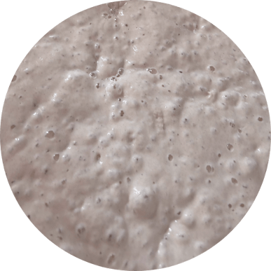 Juulian Kotileipomon kuivattu hapanjuuri