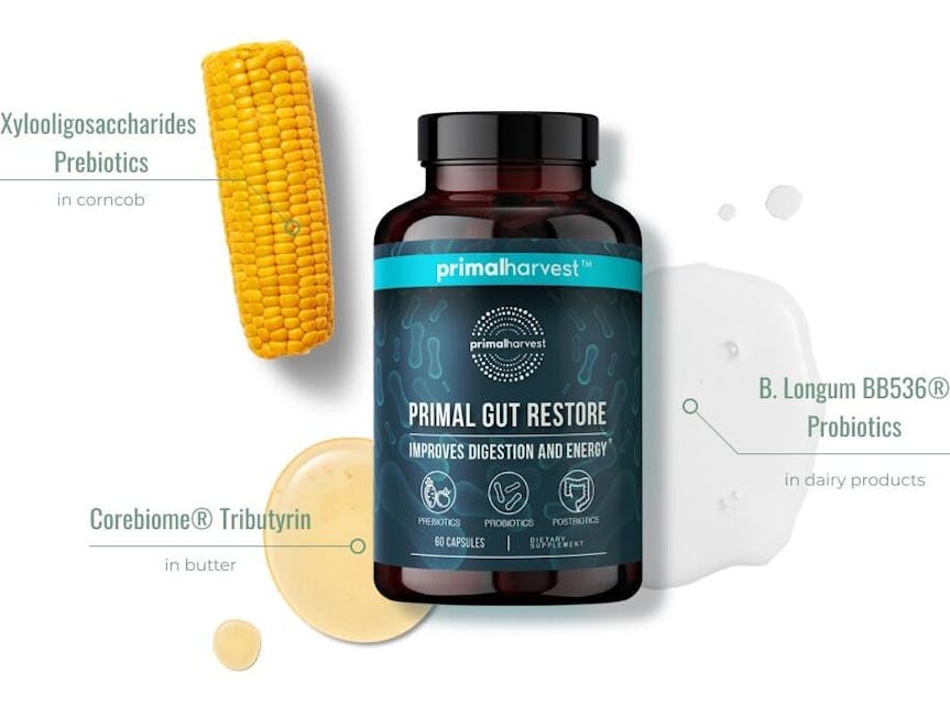 primal gut restore