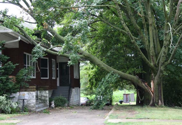 fallen tree on house