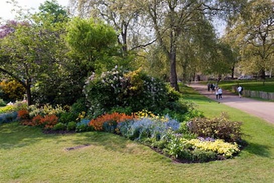 cultivated shrubbery and garden