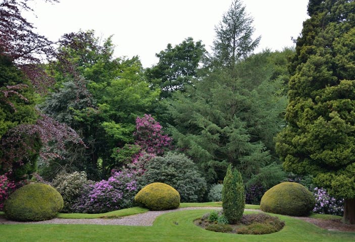 landscaped shrubs in yard