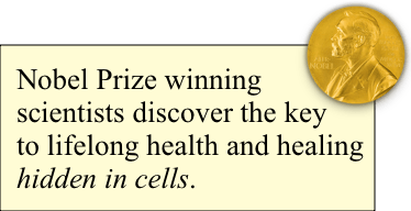 nobel prize